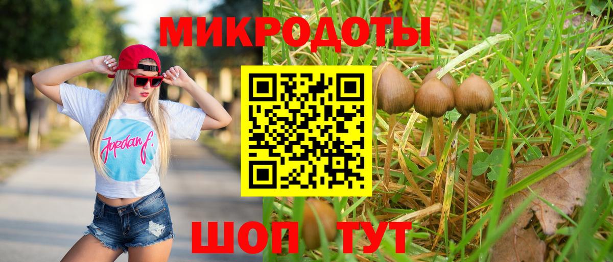 Псилоцибиновые грибы Cubensis Михайловск